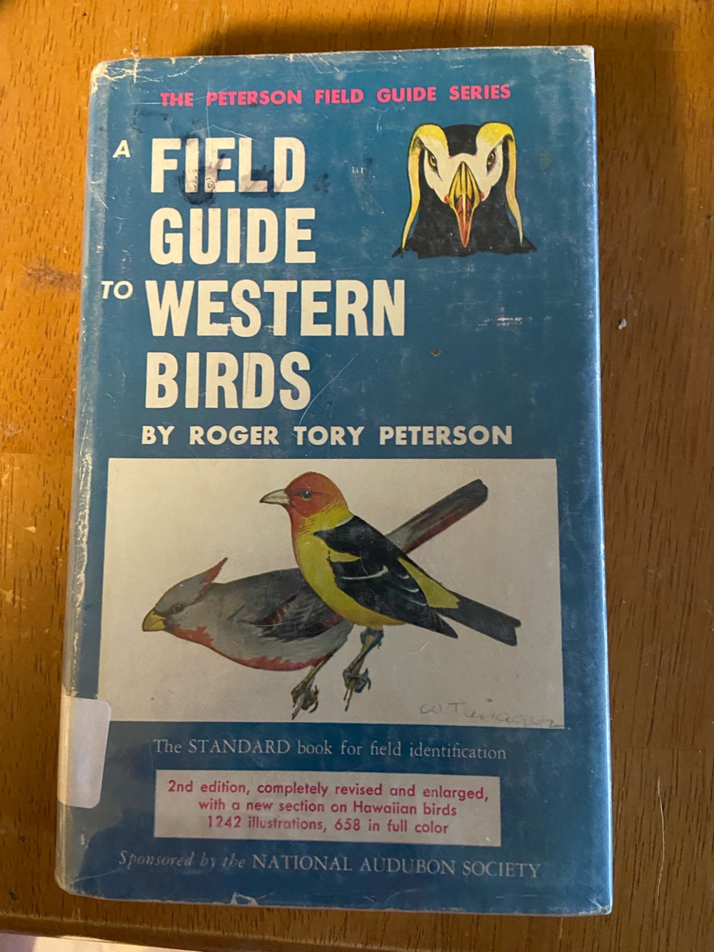 Vintage 60s 1960s retro illustrations Birds Bird book Nature outdoor outdoors